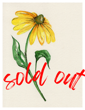 Load image into Gallery viewer, Watercolor Workshop {Thurs, May 22, 6pm}