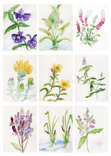 Load image into Gallery viewer, Watercolor Workshop {Thurs, May 22, 6pm}