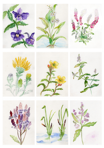 Watercolor Workshop {Thurs, May 22, 6pm}
