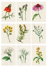Load image into Gallery viewer, Watercolor Workshop {Thurs, May 22, 6pm}