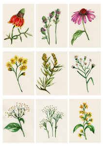 Watercolor Workshop {Thurs, May 22, 6pm}
