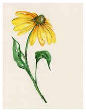 Load image into Gallery viewer, Watercolor Workshop {Thurs, May 22, 6pm}