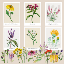 Load image into Gallery viewer, Watercolor Workshop {Thurs, May 22, 6pm}