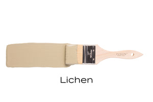 Lichen - Osseo Savitt Paint